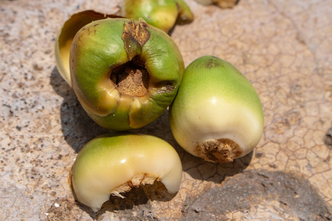 Photo pear shape